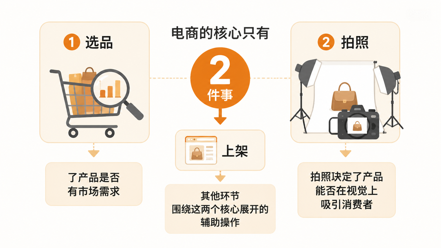 新手做电商的第一步为什么是确定类目,而不是选品或拍照? 文章内容信息图 3
