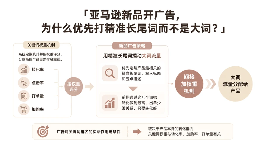 亚马逊新品开广告,为什么优先打精准长尾词而不是大词? 文章主题框架图