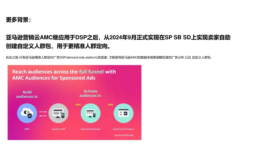 亚马逊营销云AMC自定义人群包使用指南-14页-文章简介图