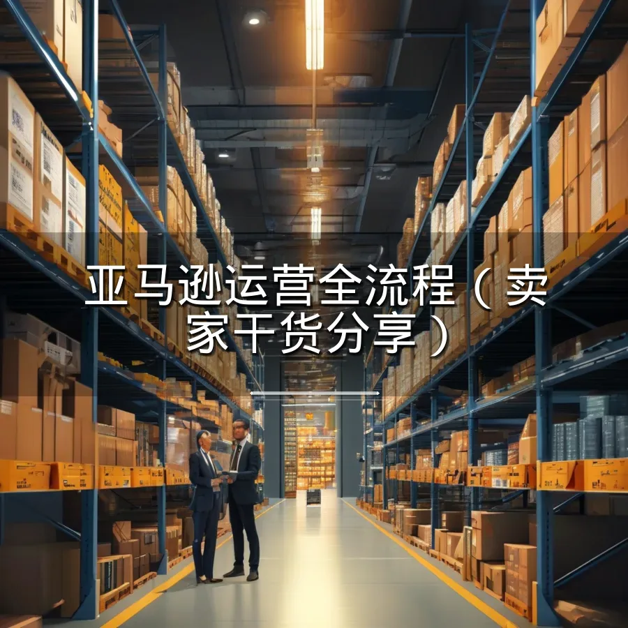 亚马逊运营全流程（卖家干货分享）-161页-文章封面图