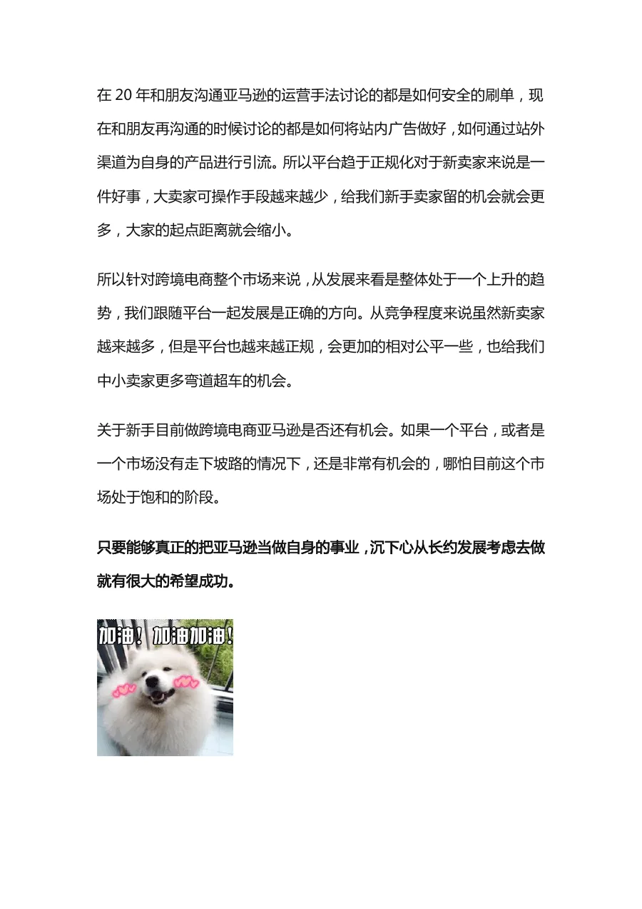亚马逊运营全流程（卖家干货分享）-161页-文章场景图