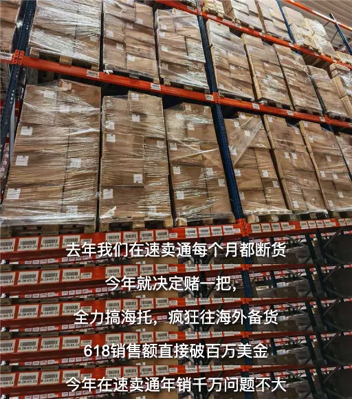 卖家故事｜Seauto 梭哈海外托管半年销 1.5 万台，欧洲订单占比 90%-新闻简介插图