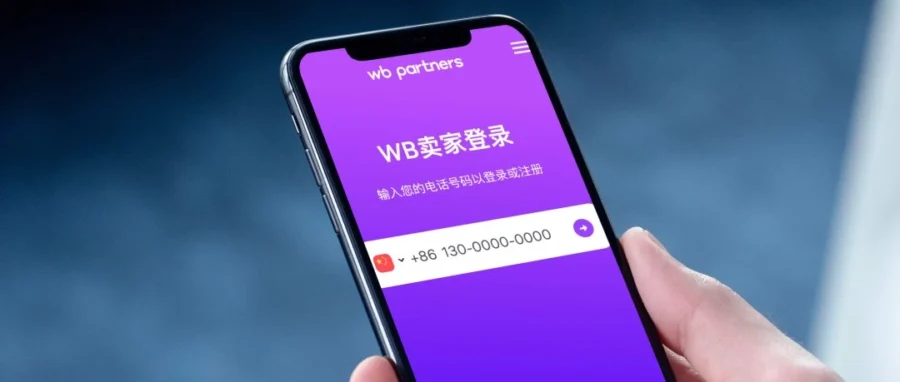 卖家故事｜中国卖家在Wildberries单日销65万、类目TOP3，入驻费直降95%开启新机遇-文章封面图