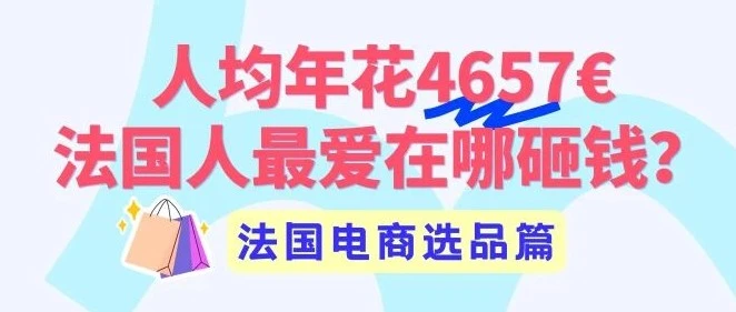 市场趋势｜法国人均网购 4657 欧元，第三方卖家占比 32%，Cdiscount 与 Octopia 成出海首选-文章封面图