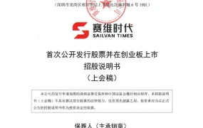 赛维时代跨境电商全链路数字化运营与品牌化战略解析-908页