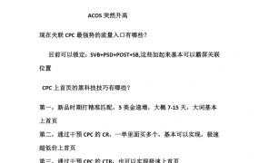 亚马逊25大CPC核心实战问题解决技巧-18页