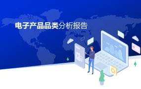 跨境电商电子产品品类分析报告-30页
