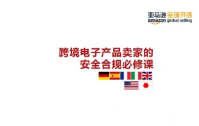 跨境电子产品卖家的安全合规必修课-14页