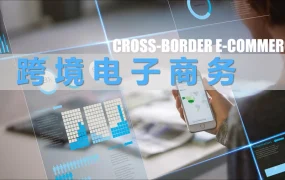 跨境电商选品策略与工具指南-71页