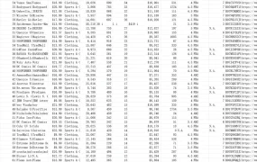 亚马逊可折叠雨伞热销数据分析表-1989行-13个子表