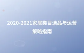 2020-2021家居类目选品与运营策略指南-1页