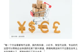 跨境电商大卖转型代运营市场分析与策略指南-76页