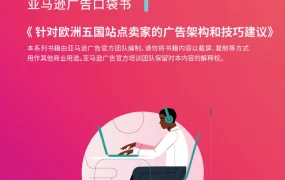 欧洲五国站点广告架构与运营技巧指南-16页