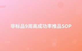 非标品9周高成功率推品SOP-1页