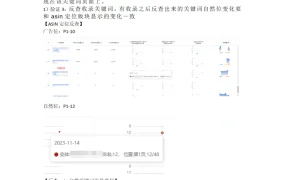 ASIN定位广告促进关键词收录的验证案例-3页