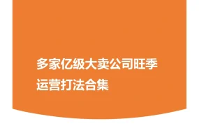 2025年跨境电商旺季运营策略与黑五Prime Day实战指南-7页