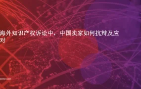 中国跨境电商卖家应对海外知识产权诉讼指南-9页