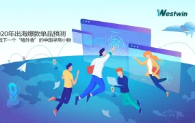 2020年跨境电商爆款单品预测与选品策略-29页