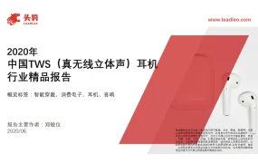 2020年中国TWS耳机行业精品报告-51页