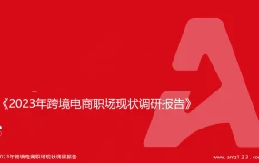 2023年跨境电商职场现状调研报告-51页