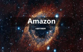 Amazon VC账号运营与A+页面优化实战指南-24页