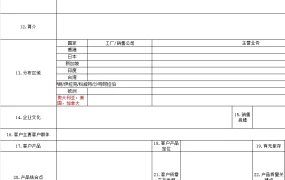 跨境电商客户剖析表模板-123行-3个子表
