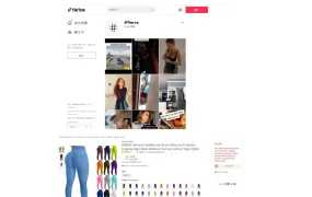 TikTok+站外推广引爆亚马逊销量的实战案例分析-4页