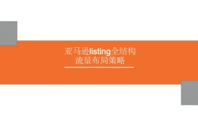 亚马逊Listing全结构流量布局策略-171页