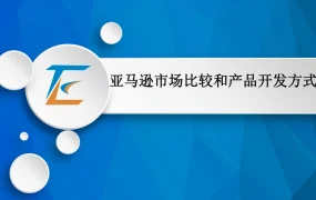 亚马逊市场比较与产品开发策略指南-19页