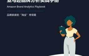 亚马逊品牌分析实战手册-27页