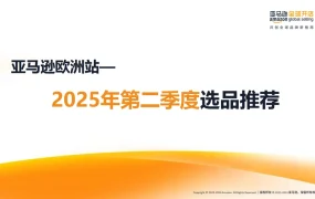 2025第二季度亚马逊欧洲站选品趋势分析及推荐-26页