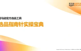 亚马逊选品指南针实操宝典2025-31页