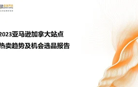 2023亚马逊加拿大站点热卖选品报告-35页
