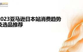 2023亚马逊日本站消费趋势及选品推荐指南-38页