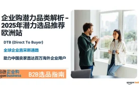 2025年亚马逊欧洲站企业购潜力品类解析与选品指南-36页