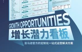 亚马逊增长潜力看板运营指南-18页
