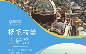 亚马逊出口拉丁美洲跨境电商行业洞察报告-68页