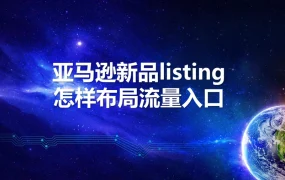 亚马逊新品Listing流量入口布局策略指南-33页
