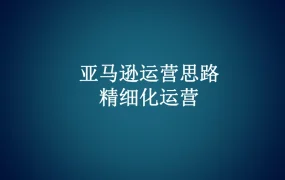亚马逊精细化运营实战指南-13页
