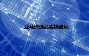亚马逊选品实操流程指南-11页