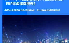 2025年中国跨境电商中大型品牌商家ERP需求洞察报告-41页