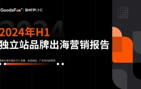 2024上半年独立站品牌出海营销报告-56页
