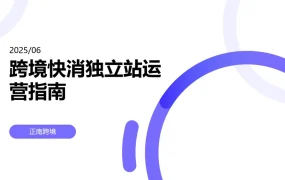 跨境快消独立站运营指南-36页