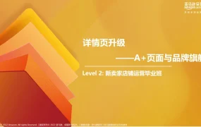 亚马逊A+页面与品牌旗舰店运营指南-66页