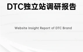 2025年DTC独立站调研报告-62页