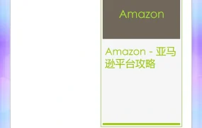 亚马逊运营全攻略：从选品到爆单的实战手册-123页