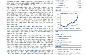 泡泡玛特DTC出海模式深度分析报告-23页