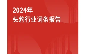 跨境电商中东市场深度分析报告-19页
