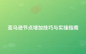 亚马逊节点增加技巧与实操指南-1页