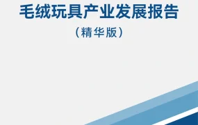 2025年度毛绒玩具产业发展报告-30页